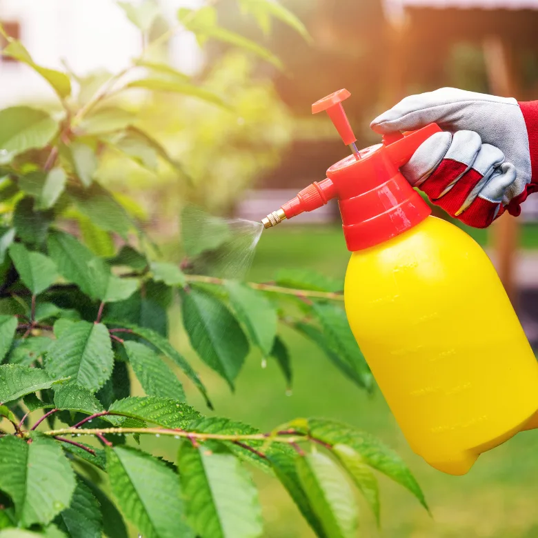 Pest Control for Agriculture