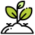 pestcontrol services icon1